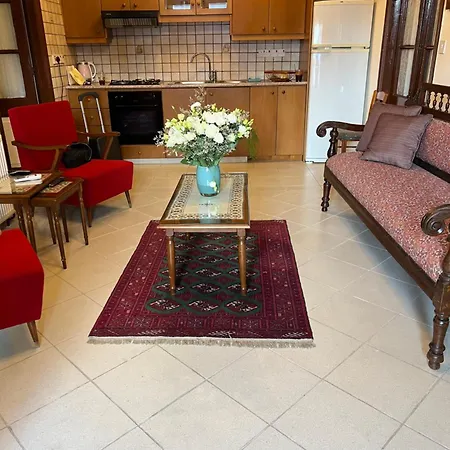 Villa Theodorou Lefkara Extérieur photo
