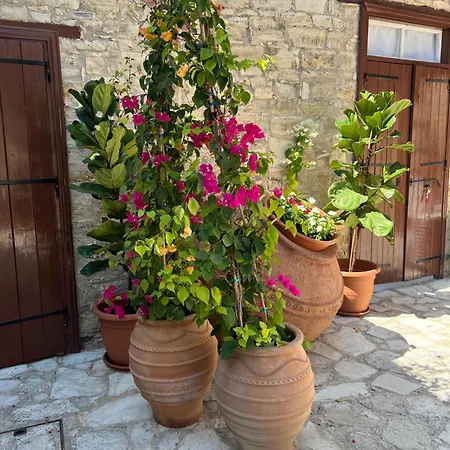 Villa Theodorou Lefkara Extérieur photo
