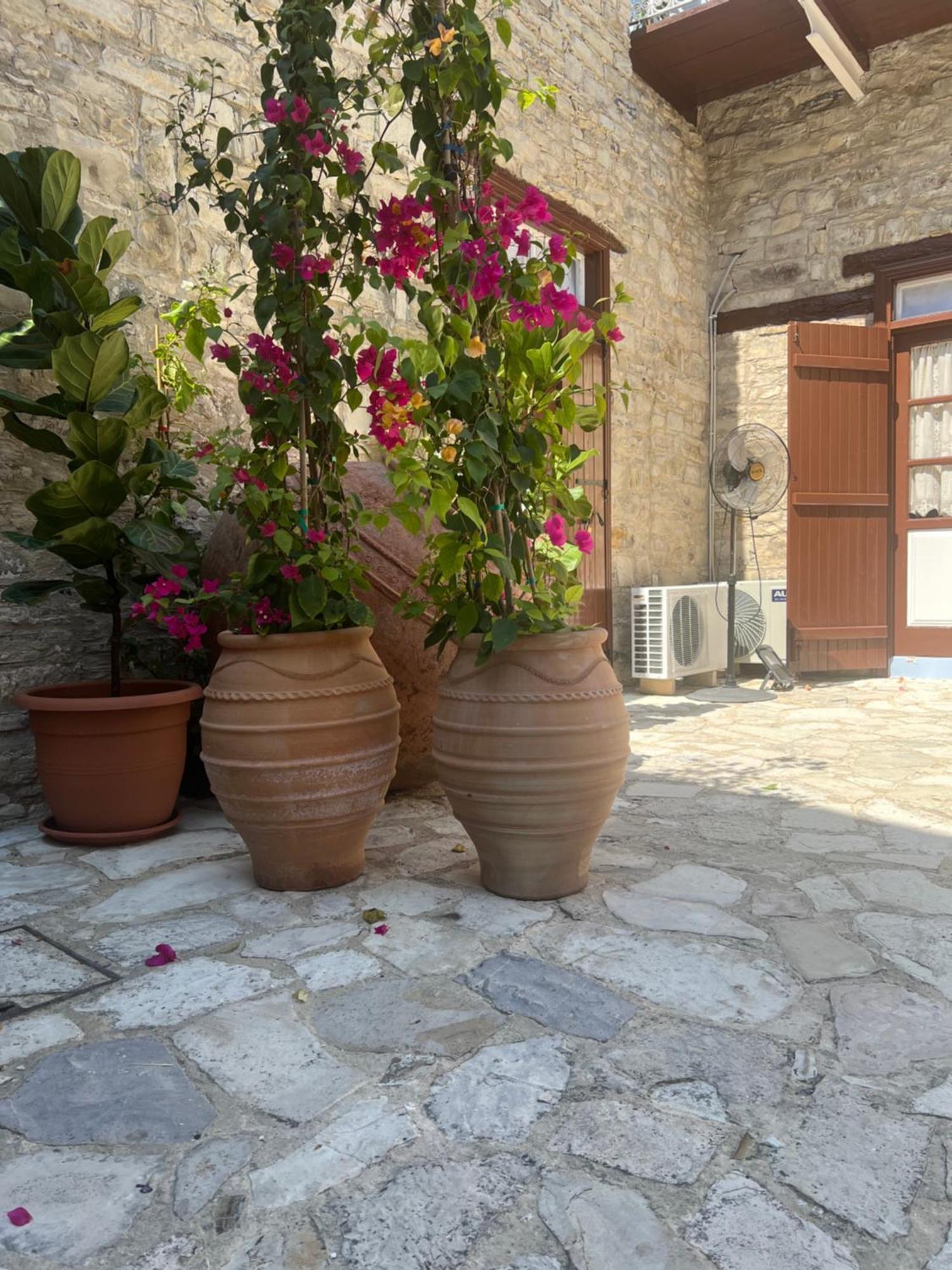 Theodorou Villa