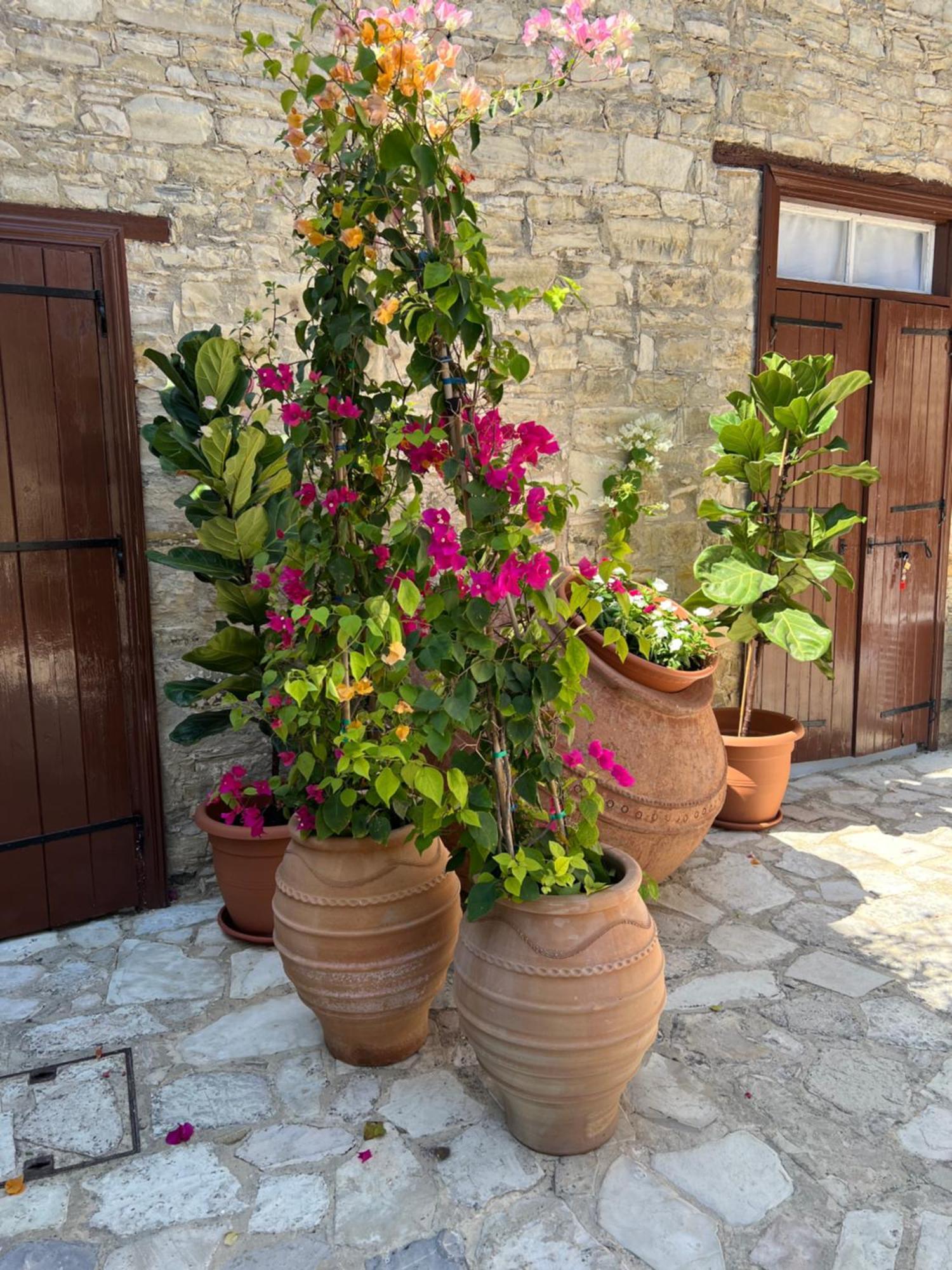 Theodorou Villa *